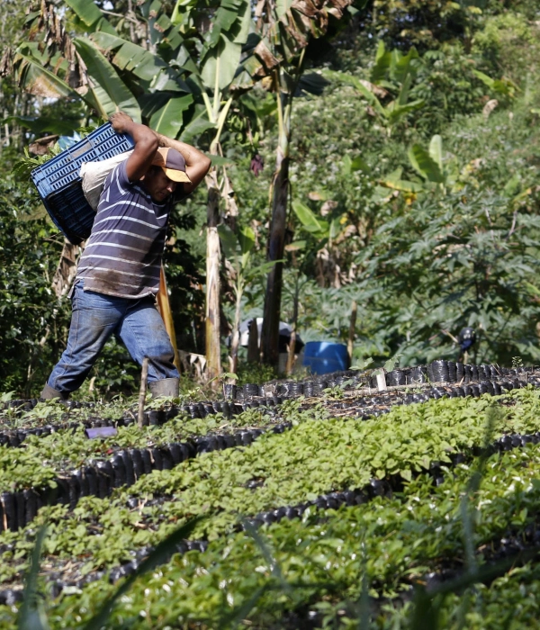 Gobierno alista 'emergencia nacional' para lanzar salvavidas al agro golpeado por El Niño: estas son sus peticiones urgentes