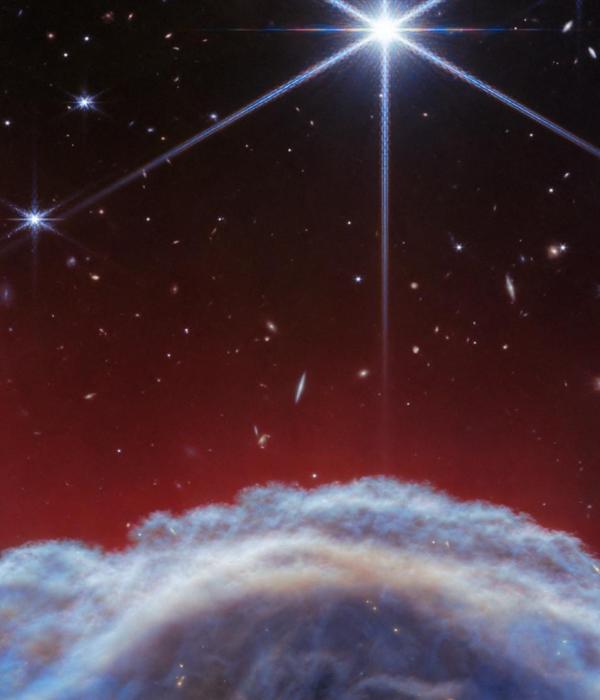 Telescopio James Webb capta la nebulosa 'Cabeza de Caballo' con un ...