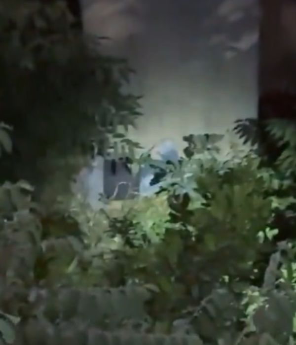 La caída del motociclista se vio amortiguada por árboles y arbustos en el lugar de la caída.