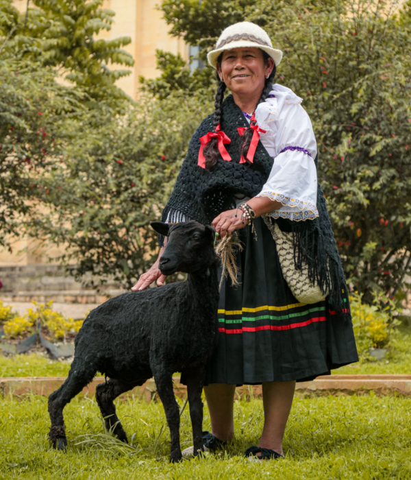 Instituto Departamental de Cultura y Turismo de Cundinamarca (IDECUT).