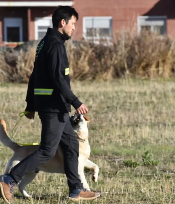 ¿Por qué los perros lamen a sus dueños?: el significado de este gesto y lo que dicen los veterinarios
