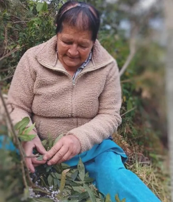 Blanca Emeria Pardo Rosero