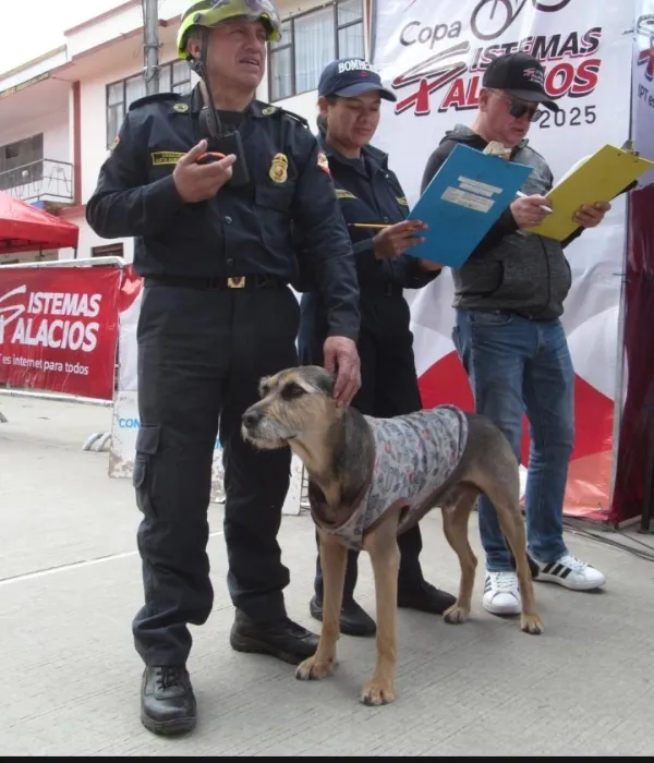 El conmovedor adiós al perrito Leyenda en Nariño.
