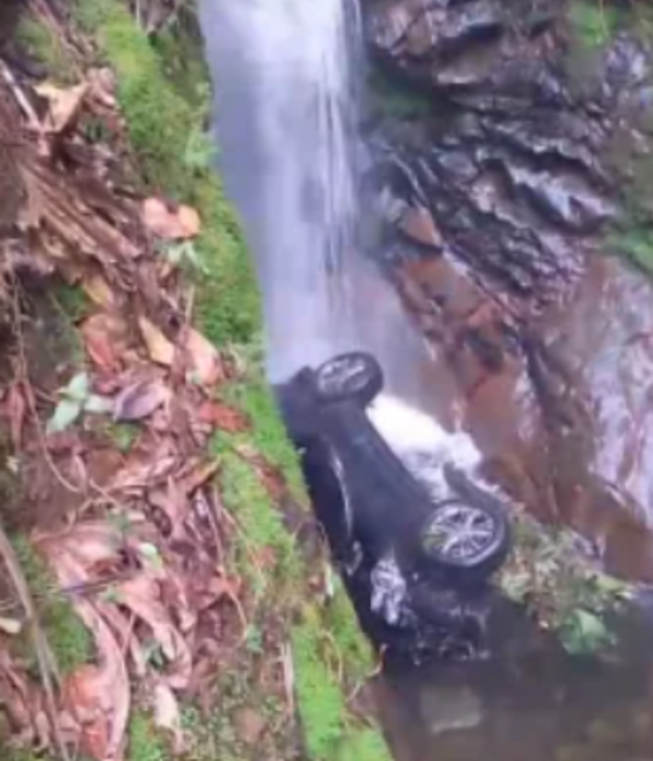 El vehículo en el que se movilizaba la secretaria de Planeación de Popayán cayó a un abismo.