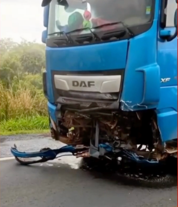 Una madre y sus hijos murieron en un accidente de tránsito mientras ...