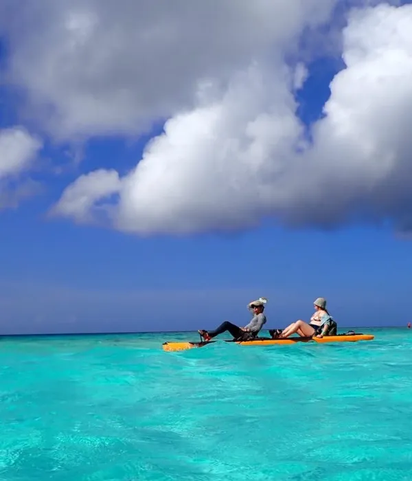 La playa más linda del Caribe para nadar, snorkel en un arrecife de colores, kayak en medio de manglares y otras experiencias imperdibles de Aruba