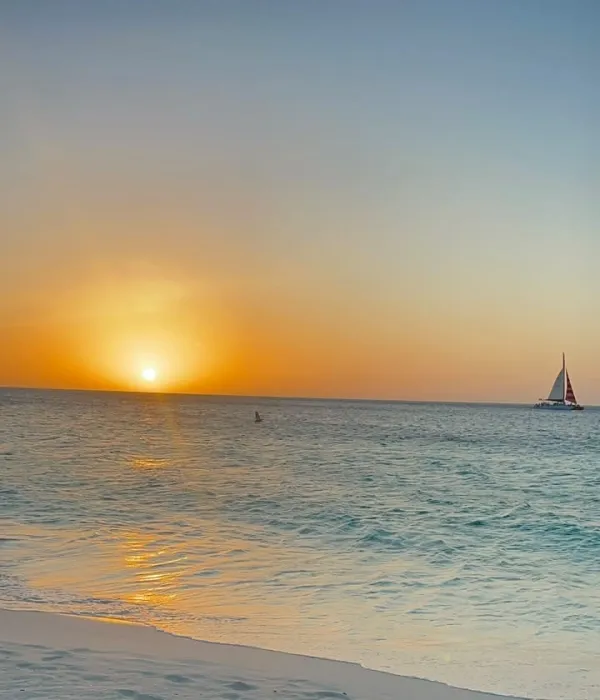 La playa más linda del Caribe para nadar, snorkel en un arrecife de colores, kayak en medio de manglares y otras experiencias imperdibles de Aruba