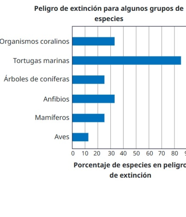 Pruebas Pisa: rete sus conocimientos y atrévase a responder algunas de las preguntas reales a las que se enfrentaron los estudiantes colombianos