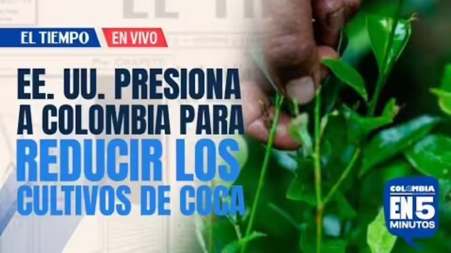 Estados Unidos pide a Colombia reducir cultivos de coca y retomar extradiciones | El Tiempo