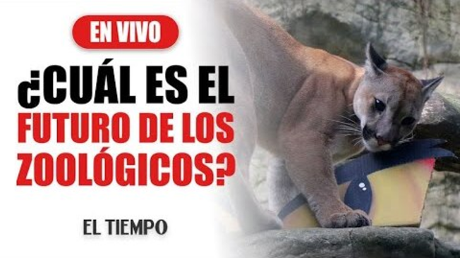 ¿Cuál es el futuro de los zoológicos? Directores de todo el mundo están reunidos en Cali
