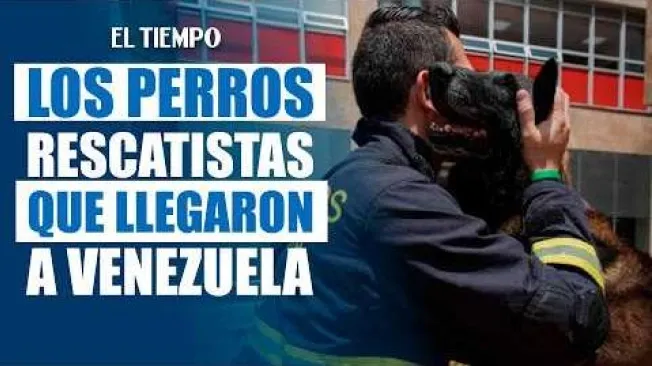 Ante las emergencias y desastres naturales, la preparación es clave. Los caninos de rescate en nuestro país cumplen una labor fundamental. Conoce la historia y el entrenamiento de Gasper, un especialista de 6 años experto en estructuras colapsadas y búsquedas en zonas montañosas.