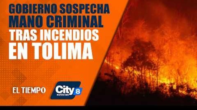 El presidente Abelardo De La Espriella se pronunció este lunes 24 de agosto sobre los incendios forestales que afectan al Tolima y que ya han consumido cientos de hectáreas. Según un comunicado oficial, el Gobierno tiene indicios de que algunos focos habrían sido provocados deliberadamente y ordenó una respuesta contundente del Estado para enfrentar la emergencia e investigar a los responsables.

SUSCRÍBETE: https://bit.ly/eltiempoYT 

Síguenos en nuestras redes sociales:
X: https://twitter.com/eltiempo 
Facebook: https://www.facebook.com/eltiempo 
Instagram: https://www.instagram.com/eltiempo 

El Tiempo es el medio líder de noticias en Colombia, caracterizado por sus investigaciones y reportajes exclusivos, sobre:  justicia, deportes, economía, política, cultura, tecnología, innovación, cambio climático, entre otros eventos noticiosos en Colombia y el mundo.

Para mayor información ingresa a: https://www.eltiempo.com 

Otros canales de El Tiempo
Citytv: https://www.youtube.com/c/citytvbogota  
Bravíssimo Citytv: https://www.youtube.com/c/BRAVISSIMOCITYTV  
Portafolio: https://www.youtube.com/user/PortafolioCO  
Futbolred: https://www.youtube.com/c/FutbolRedCO
