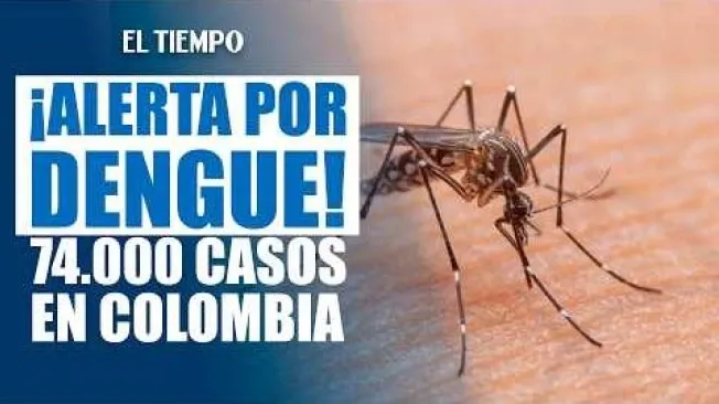 Crece la preocupación en Colombia por los casos de dengue. El Instituto Nacional de Salud reportó más de 74.000 personas contagiadas por la picadura del mosquito. Conozca cuáles son los departamentos más afectados por esta enfermedad en el país. #ElTiempo #NoticiasColombia #ÚltimaHora #Dengue #Colombia #INS #Salud #Alerta #Mosquito #noticiascolombia 

SUSCRÍBETE: https://bit.ly/eltiempoYT 

Síguenos en nuestras redes sociales:
X: https://twitter.com/eltiempo 
Facebook: https://www.facebook.com/eltiempo 
Instagram: https://www.instagram.com/eltiempo 

El Tiempo es el medio líder de noticias en Colombia, caracterizado por sus investigaciones y reportajes exclusivos, sobre:  justicia, deportes, economía, política, cultura, tecnología, innovación, cambio climático, entre otros eventos noticiosos en Colombia y el mundo.

Para mayor información ingresa a: https://www.eltiempo.com 

Otros canales de El Tiempo
Citytv: https://www.youtube.com/c/citytvbogota  
Bravíssimo Citytv: https://www.youtube.com/c/BRAVISSIMOCITYTV  
Portafolio: https://www.youtube.com/user/PortafolioCO  
Futbolred: https://www.youtube.com/c/FutbolRedCO