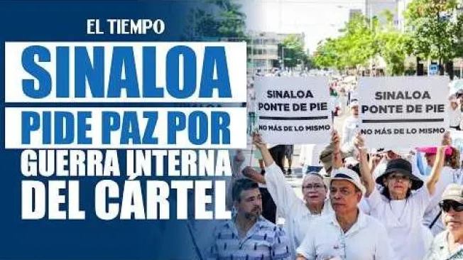 Miles de personas marcharon en Sinaloa, México, para exigir el fin de la violencia que azota al estado tras la guerra entre dos facciones rivales del cártel de Sinaloa. Con consignas como “¡Queremos paz!” y “Estoy harta de vivir con miedo”, los manifestantes pidieron que cesen las muertes de civiles y denunciaron el temor que ha marcado la vida cotidiana en Culiacán, capital del estado. #ElTiempo #NoticiasColombia #ÚltimaHora #Sinaloa #Culiacán #México #Violencia #ELTIEMPO
SUSCRÍBETE: https://bit.ly/eltiempoYT
Síguenos en nuestras redes sociales:
X: https://twitter.com/eltiempo
Facebook: https://www.facebook.com/eltiempo
Instagram: https://www.instagram.com/eltiempo
El Tiempo es el medio líder de noticias en Colombia, caracterizado por sus investigaciones y reportajes exclusivos, sobre: justicia, deportes, economía, política, cultura, tecnología, innovación, cambio climático, entre otros eventos noticiosos en Colombia y el mundo.
Para mayor información ingresa a: https://www.eltiempo.com
Otros canales de El Tiempo
Citytv: https://www.youtube.com/c/citytvbogota
Bravíssimo Citytv: https://www.youtube.com/c/BRAVISSIMOCITYTV
Portafolio: https://www.youtube.com/user/PortafolioCO
Futbolred: https://www.youtube.com/c/FutbolRedCO