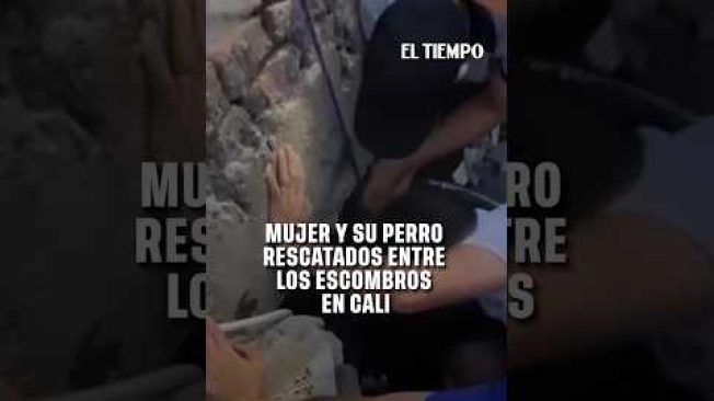 Una mujer y su perro fueron rescatados con vida de un edificio que colapsó en el barrio Capri, al sur de Cali, tras el terremoto. El subintendente Sebastián Daza y su equipo localizaron a la mujer atrapada entre placas de concreto, varillas y otros fragmentos de la estructura.

Los uniformados retiraron los escombros para llegar hasta ella y mantenerla con vida. Durante la maniobra descubrieron que su perro también estaba atrapado debajo de sus piernas. Ambos fueron rescatados y puestos a salvo.

#Cali #Terremoto #Rescate #PerrosRescatados #Colombia #Capri #Sismo

SUSCRÍBETE: https://bit.ly/eltiempoYT 

Síguenos en nuestras redes sociales:
X: https://twitter.com/eltiempo 
Facebook: https://www.facebook.com/eltiempo 
Instagram: https://www.instagram.com/eltiempo 

El Tiempo es el medio líder de noticias en Colombia, caracterizado por sus investigaciones y reportajes exclusivos, sobre:  justicia, deportes, economía, política, cultura, tecnología, innovación, cambio climático, entre otros eventos noticiosos en Colombia y el mundo.

Para mayor información ingresa a: https://www.eltiempo.com 

Otros canales de El Tiempo
Citytv: https://www.youtube.com/c/citytvbogota  
Bravíssimo Citytv: https://www.youtube.com/c/BRAVISSIMOCITYTV  
Portafolio: https://www.youtube.com/user/PortafolioCO  
Futbolred: https://www.youtube.com/c/FutbolRedCO