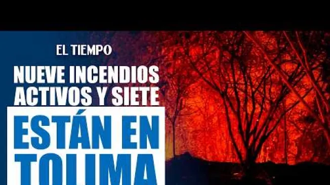 Nueve incendios forestales permanecen activos en Colombia y siete de ellos se concentran en el Tolima, una de las regiones más afectadas por la emergencia. Mientras las autoridades atienden a las familias damnificadas, el Ministerio de Agricultura anunció ayudas para los afectados y el presidente advirtió que existen indicios de que algunos incendios podrían haber sido provocados. La situación mantiene en alerta a las autoridades por el impacto sobre las comunidades, el campo y cientos de hectáreas.

#IncendiosForestales #Tolima #Colombia #Emergencia #Incendios #MinisterioDeAgricultura #Seguridad #ELTIEMPO

SUSCRÍBETE: https://bit.ly/eltiempoYT 

Síguenos en nuestras redes sociales:
X: https://twitter.com/eltiempo 
Facebook: https://www.facebook.com/eltiempo 
Instagram: https://www.instagram.com/eltiempo 

El Tiempo es el medio líder de noticias en Colombia, caracterizado por sus investigaciones y reportajes exclusivos, sobre:  justicia, deportes, economía, política, cultura, tecnología, innovación, cambio climático, entre otros eventos noticiosos en Colombia y el mundo.

Para mayor información ingresa a: https://www.eltiempo.com 

Otros canales de El Tiempo
Citytv: https://www.youtube.com/c/citytvbogota  
Bravíssimo Citytv: https://www.youtube.com/c/BRAVISSIMOCITYTV  
Portafolio: https://www.youtube.com/user/PortafolioCO  
Futbolred: https://www.youtube.com/c/FutbolRedCO