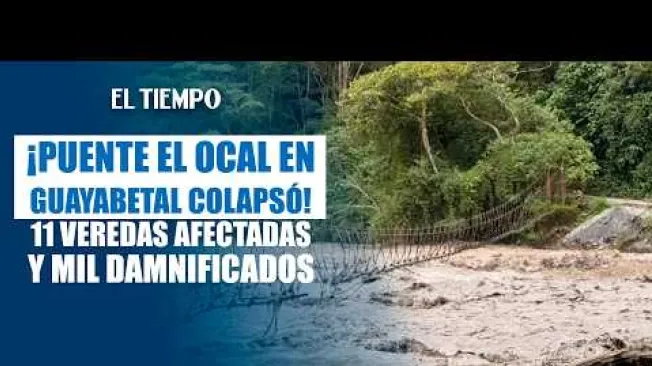 Guayabetal continúa en emergencia tras el colapso del puente El Ocal, una estructura clave para la movilidad de las comunidades rurales del municipio. Al menos 1.000 personas de 11 veredas tienen limitada su conectividad y el acceso a bienes y servicios. Las autoridades trabajan en alternativas para garantizar el ingreso de alimentos y suministros. #ElTiempo #NoticiasColombia #ÚltimaHora #Guayabetal #PuenteElOcal #Cundinamarca #Emergencia #Movilidad #Colombia #Noticias

SUSCRÍBETE: https://bit.ly/eltiempoYT 

Síguenos en nuestras redes sociales:
X: https://twitter.com/eltiempo 
Facebook: https://www.facebook.com/eltiempo 
Instagram: https://www.instagram.com/eltiempo 

El Tiempo es el medio líder de noticias en Colombia, caracterizado por sus investigaciones y reportajes exclusivos, sobre:  justicia, deportes, economía, política, cultura, tecnología, innovación, cambio climático, entre otros eventos noticiosos en Colombia y el mundo.

Para mayor información ingresa a: https://www.eltiempo.com 

Otros canales de El Tiempo
Citytv: https://www.youtube.com/c/citytvbogota  
Bravíssimo Citytv: https://www.youtube.com/c/BRAVISSIMOCITYTV  
Portafolio: https://www.youtube.com/user/PortafolioCO  
Futbolred: https://www.youtube.com/c/FutbolRedCO