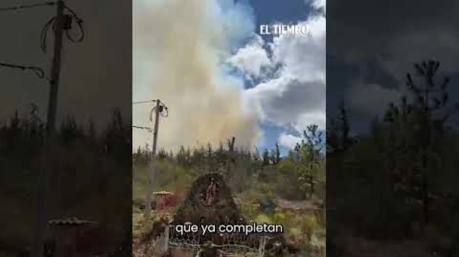 La conflagración ya afecta más de 40 hectáreas, según el reporte entregado por voceros de la Gobernación de Boyacá.
#eltiempo #NoticiasColombia #ÚltimaHora
SUSCRÍBETE: https://bit.ly/eltiempoYT
Síguenos en nuestras redes sociales:
X: https://twitter.com/eltiempo
Facebook: https://www.facebook.com/eltiempo
Instagram: https://www.instagram.com/eltiempo
El Tiempo es el medio líder de noticias en Colombia, caracterizado por sus investigaciones y reportajes exclusivos, sobre: justicia, deportes, economía, política, cultura, tecnología, innovación, cambio climático, entre otros eventos noticiosos en Colombia y el mundo.
Para mayor información ingresa a: https://www.eltiempo.com
Otros canales de El Tiempo
Citytv: https://www.youtube.com/c/citytvbogota
Bravíssimo Citytv: https://www.youtube.com/c/BRAVISSIMOCITYTV
Portafolio: https://www.youtube.com/user/PortafolioCO
Futbolred: https://www.youtube.com/c/FutbolRedCO