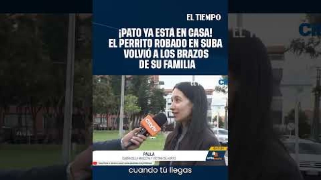 Pato, el perrito que había sido robado en el sector de Britalia Norte, fue recuperado luego de la denuncia del caso. El hecho generó preocupación entre la comunidad. Conozca qué ocurrió con Pato y cómo avanzó el caso.#Pato #Perrito #BritaliaNorte #Bogota #Mascotas #Robo #NoticiasBogota#ElTiempo #NoticiasColombia #ÚltimaHora
SUSCRÍBETE: https://bit.ly/eltiempoYT
Síguenos en nuestras redes sociales:
X: https://twitter.com/eltiempo
Facebook: https://www.facebook.com/eltiempo
Instagram: https://www.instagram.com/eltiempo
El Tiempo es el medio líder de noticias en Colombia, caracterizado por sus investigaciones y reportajes exclusivos, sobre: justicia, deportes, economía, política, cultura, tecnología, innovación, cambio climático, entre otros eventos noticiosos en Colombia y el mundo.
Para mayor información ingresa a: https://www.eltiempo.com
Otros canales de El Tiempo
Citytv: https://www.youtube.com/c/citytvbogota
Bravíssimo Citytv: https://www.youtube.com/c/BRAVISSIMOCITYTV
Portafolio: https://www.youtube.com/user/PortafolioCO
Futbolred: https://www.youtube.com/c/FutbolRedCO