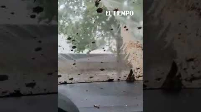 Una emergencia por el desbordamiento de quebradas afectó el sector de San Carlos de Apoquindo, en la zona oriente de Santiago de Chile. Una gran masa de lodo descendió por las principales calles del sector durante la tarde. 

Ante la situación, el presidente José Antonio Kast decretó el Estado de Catástrofe para la comuna de Las Condes, señalada en el reporte como la zona principalmente afectada. #ElTiempo #NoticiasColombia #ÚltimaHora #Chile #SantiagoDeChile #LasCondes #EstadoDeCatástrofe #Emergencia #Desbordamiento #Lodo #JoséAntonioKast #NoticiasInternacionales

SUSCRÍBETE: https://bit.ly/eltiempoYT 

Síguenos en nuestras redes sociales:
X: https://twitter.com/eltiempo 
Facebook: https://www.facebook.com/eltiempo 
Instagram: https://www.instagram.com/eltiempo 

El Tiempo es el medio líder de noticias en Colombia, caracterizado por sus investigaciones y reportajes exclusivos, sobre:  justicia, deportes, economía, política, cultura, tecnología, innovación, cambio climático, entre otros eventos noticiosos en Colombia y el mundo.

Para mayor información ingresa a: https://www.eltiempo.com 

Otros canales de El Tiempo
Citytv: https://www.youtube.com/c/citytvbogota  
Bravíssimo Citytv: https://www.youtube.com/c/BRAVISSIMOCITYTV  
Portafolio: https://www.youtube.com/user/PortafolioCO  
Futbolred: https://www.youtube.com/c/FutbolRedCO