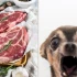 Es posible que esté consumiendo carne de perro y ni siquiera esté consiente de ello.