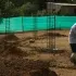 En VIVO: misa de hoy 13 de septiembre en el Santuario del Señor de los Milagros de Engativá
