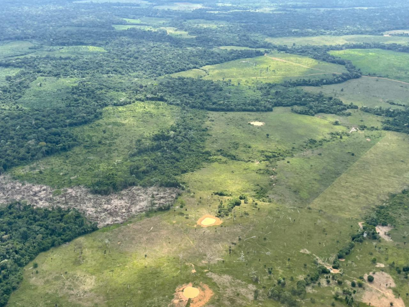 Deforestacion amazonia