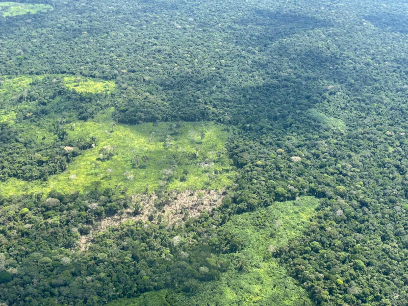 Deforestacion amazonia