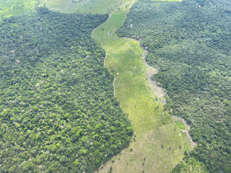 Deforestacion amazonia
