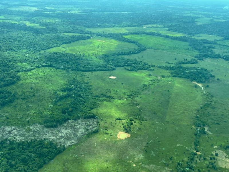 Deforestacion amazonia