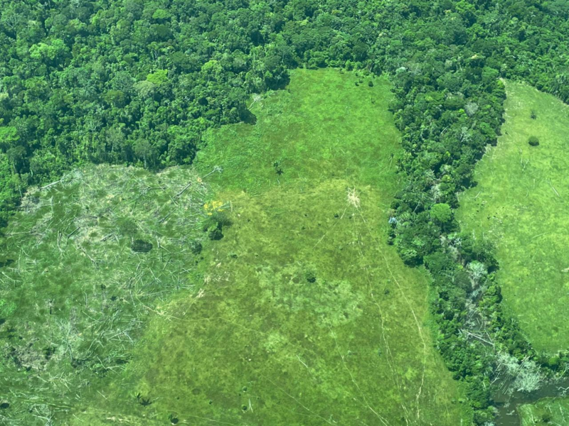 Deforestacion amazonia