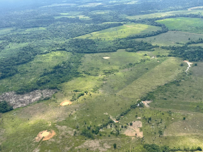 Deforestacion amazonia