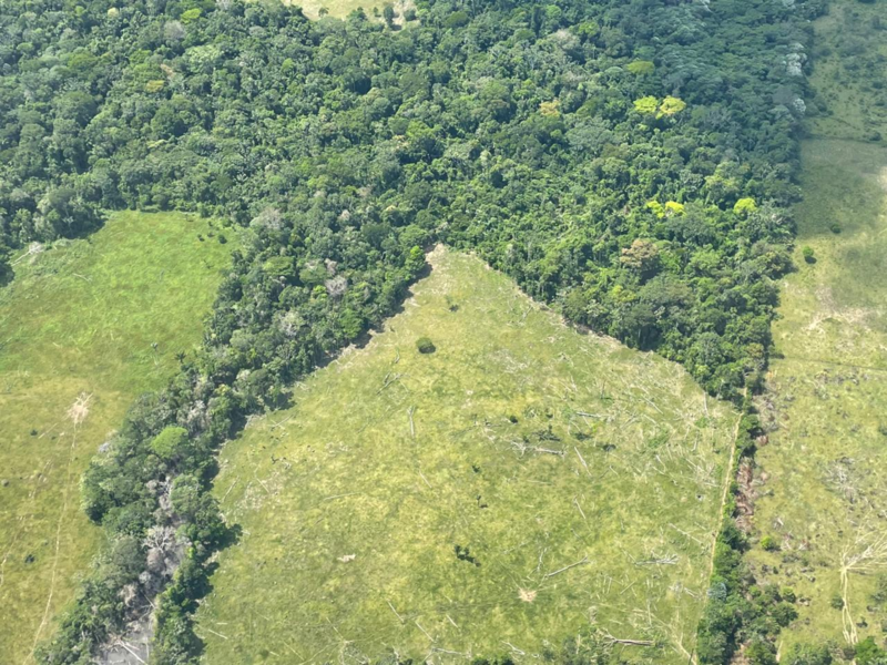 Deforestacion amazonia