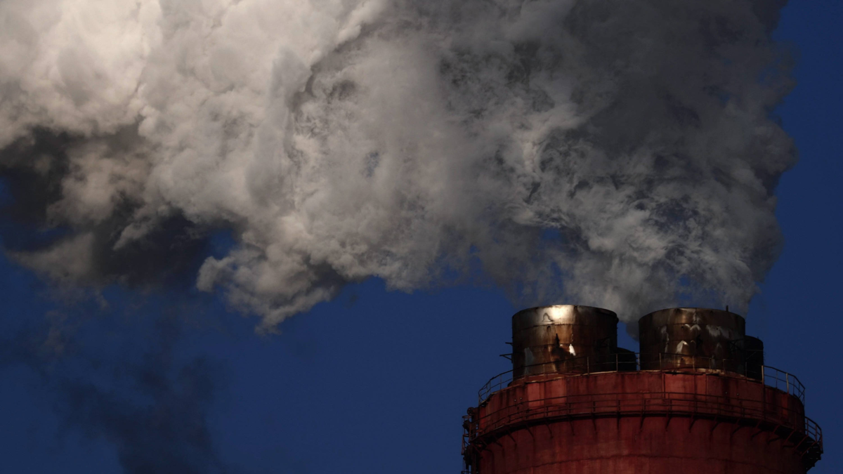 En el MIT crearon filtro de aire que convierte a un edificio en una “máquina de captura de dióxido de carbono” a bajo costo – ELTIEMPO.COM