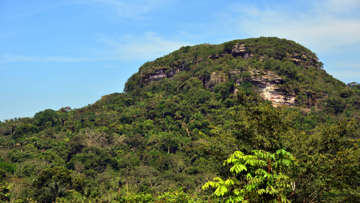Más de 700 registros biológicos revelan la riqueza natural del Guaviare y el sur del Meta en expedición científica