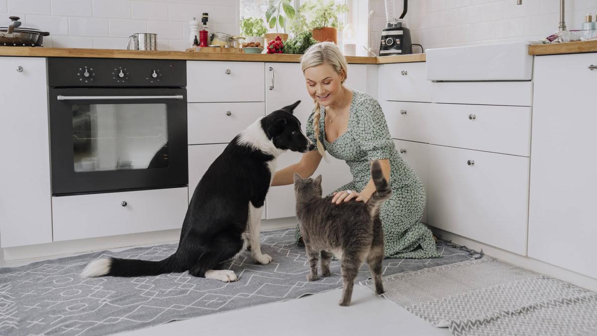 ¿Por qué recomiendan despedirse de su mascota antes de salir de casa? Esto dicen los expertos