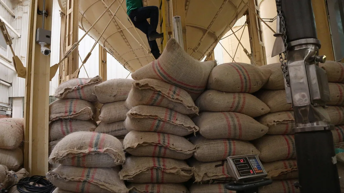 El precio del café suave colombiano se trepa sobre los US$ 4 por libra, pero el terremoto no explica el repunte