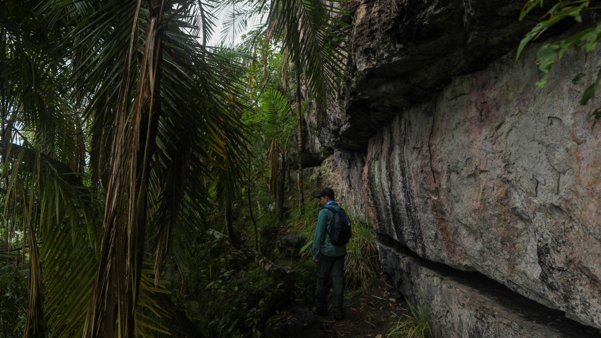 ‘Nos sentimos como presas, acorralados’: así viven los líderes ambientales en Colombia, el país más peligroso del mundo para defender la naturaleza