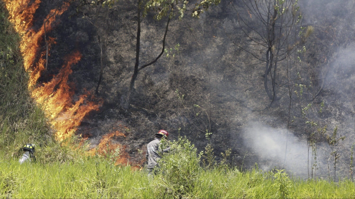 Así avanzan las labores para controlar tres grandes incendios forestales en Medellín: el alcalde Federico Gutiérrez habló de la lucha contra el fuego