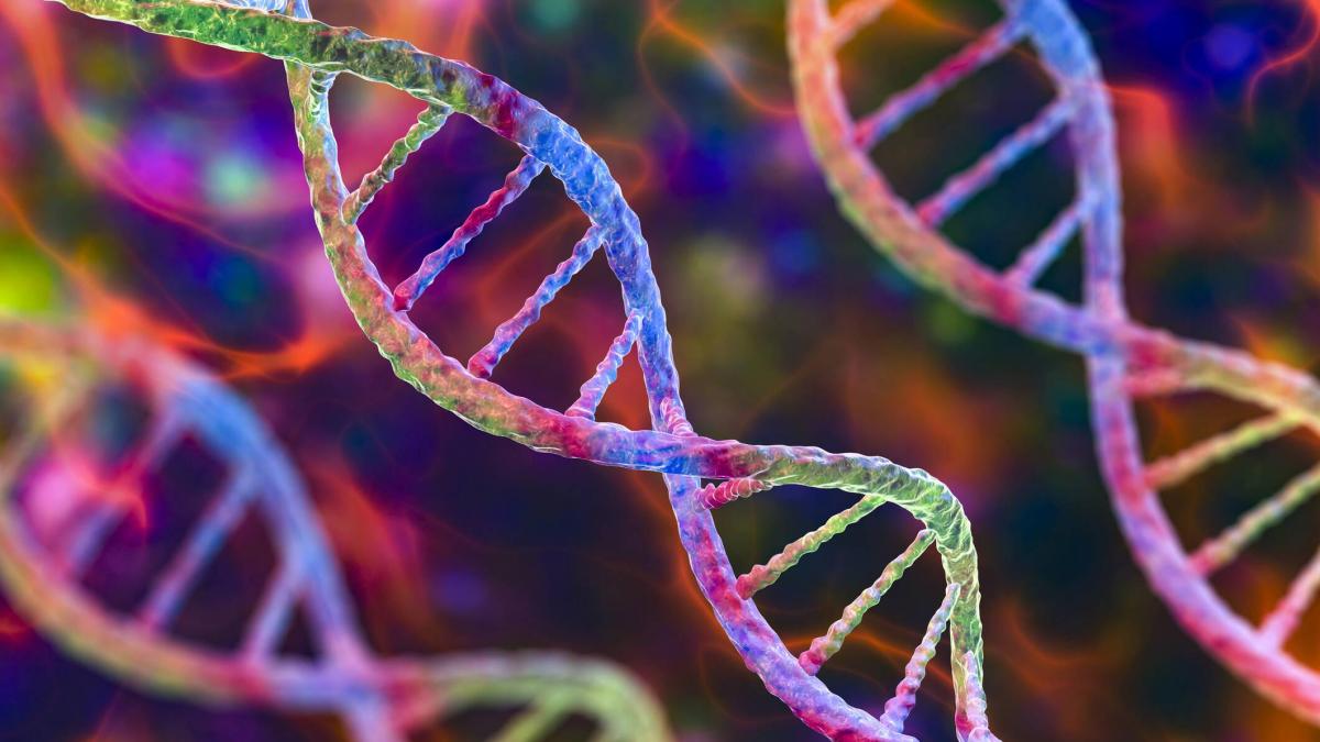 Crean el primer mapa de más de 92 millones de elementos del ADN que controlan los genes humanos