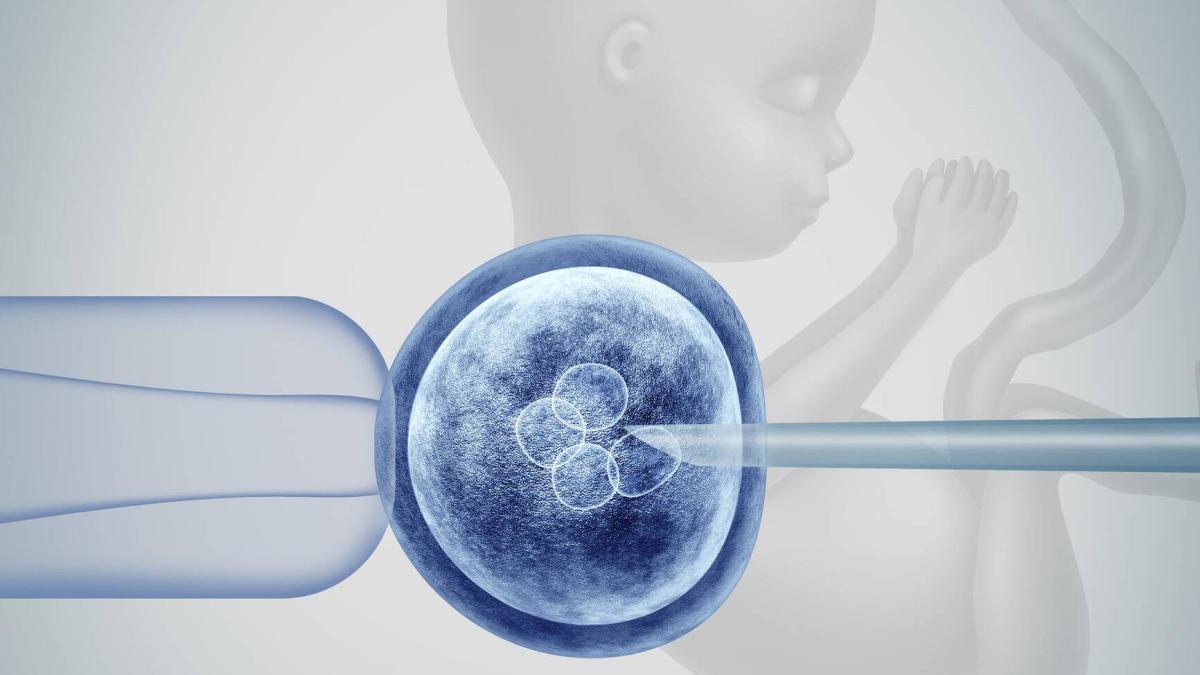 Embriones sintéticos humanos: científicos piden ver artículos para ...