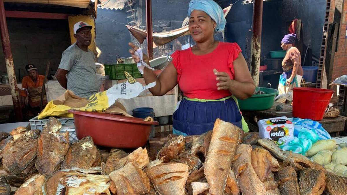 Alcaldía de Cartagena presentó la hoja de ruta para el traslado de Bazurto y transformar zona en distrito gastronómico y cultural: conozca el proyecto