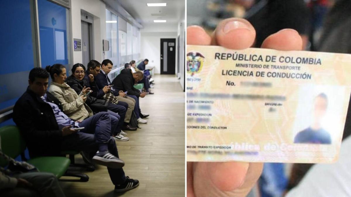 Senado aprueba la nueva licencia de conducción en Colombia que funcionará por puntos; estos son los cambios que tendrá el documento