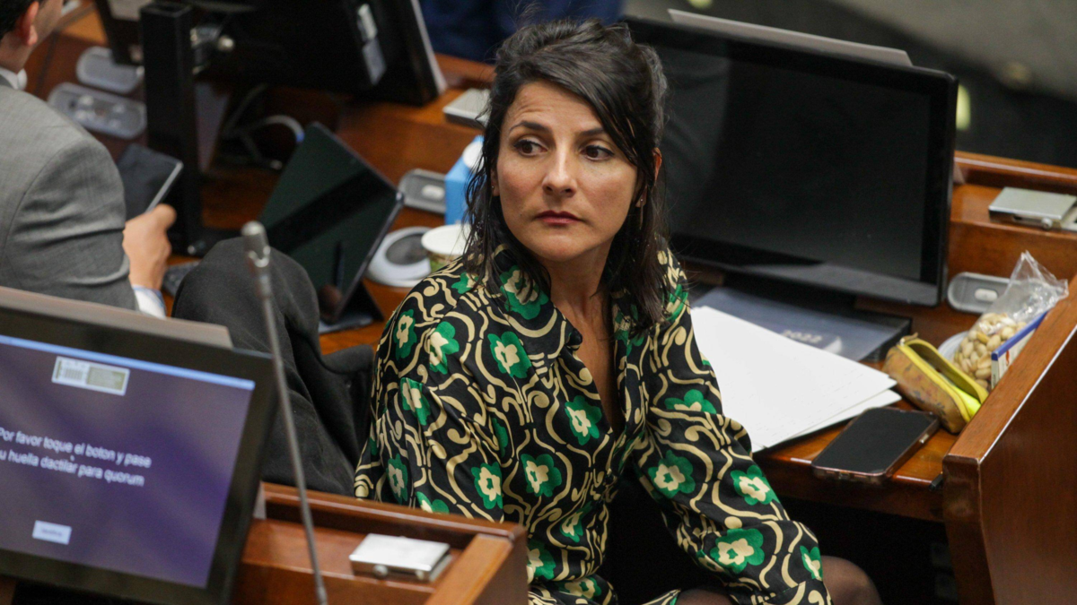 Ministra (e) de Ambiente, Irene Vélez, notificada por desacato a la ley de reforestación y sancionada con multa