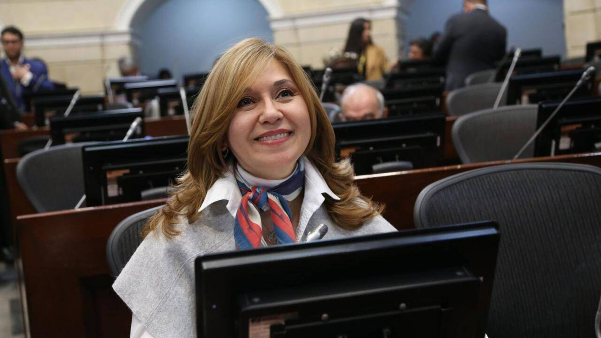 ‘La salud no puede resolverse a las carreras, como pretende el Gobierno’: Norma Hurtado