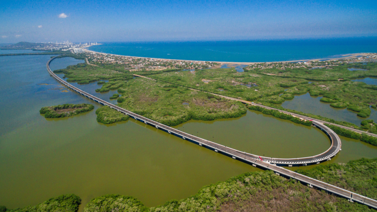 Tutela por manglares en Cartagena destapa choque entre Procuraduría y Distrito por podas, talas y riesgo ambiental en zonas urbanas críticas