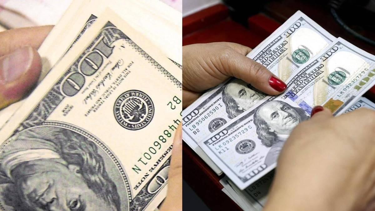 Precio del dólar en Colombia: qué ha hecho que la divisa haya tenido una pausa en su descenso; ¿ya tocó fondo? Esto dicen los analistas del mercado