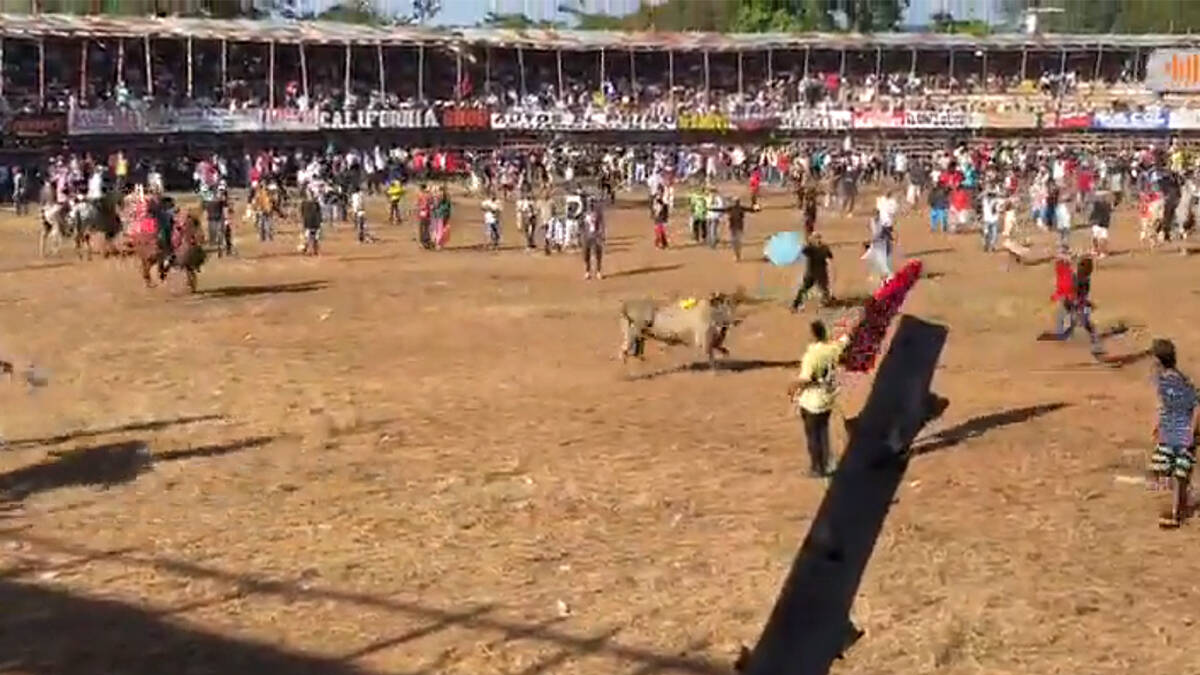 Antioquia | Corralejas en Caucasia dejaron más de 63 personas heridas: hay menores de edad entre los lesionados