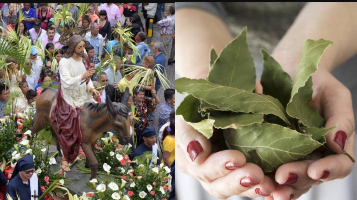 ¿Cómo se conmemora el Domingo de Ramos y qué significado tienen las procesiones, las palmas y la preparación de los fieles para la Semana Santa?
