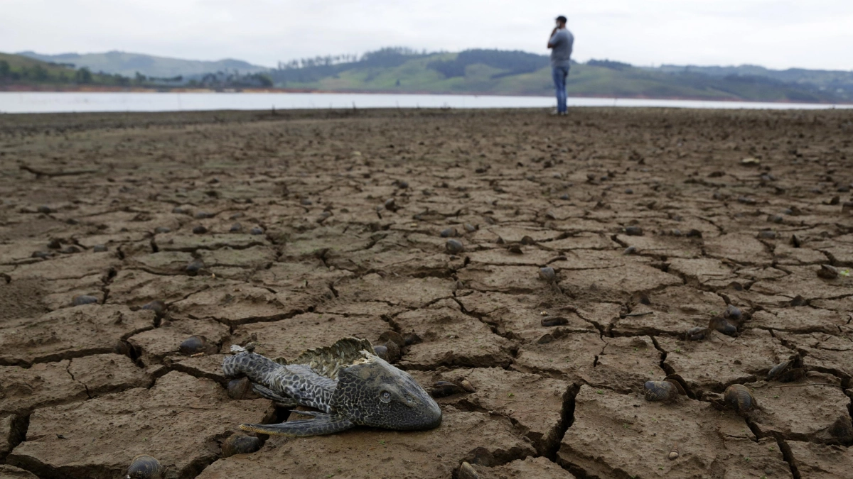 4-Minute Showers and Dawn Watering: Urgent Measures Urged to Face El Niño in the Valley